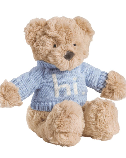 Plush teddy bear wearing a blue sweater with 'hi' 