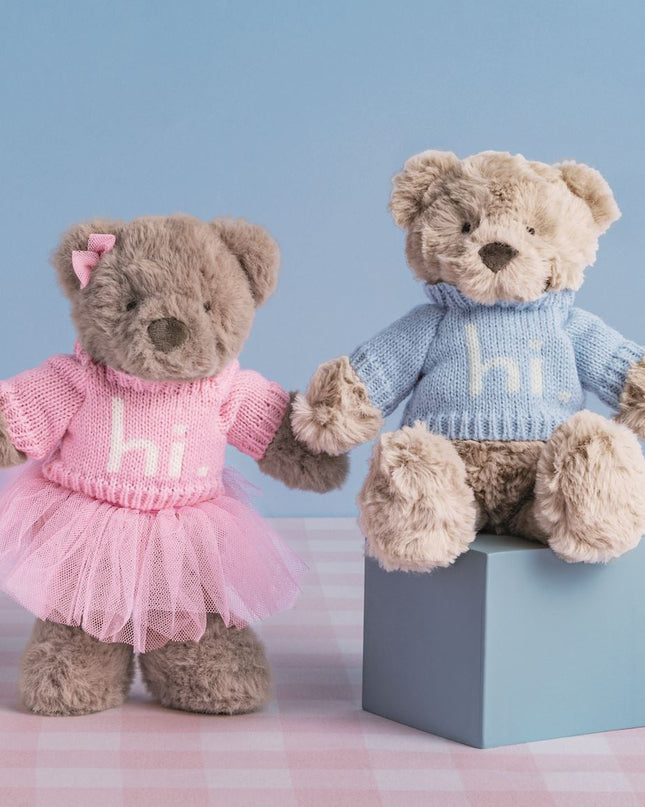 Two teddy bears, one in a pink sweater and the other in a blue sweater that says 'hi'