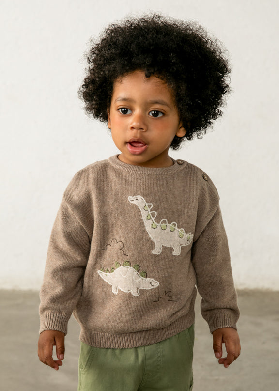 Child wearing a brown sweater with dinosaur design