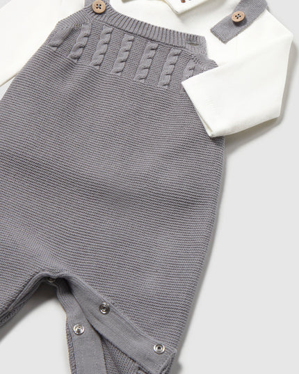 Grey knit dungarees with elephant shirt