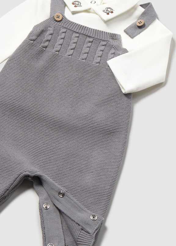 Grey knit dungarees with elephant shirt