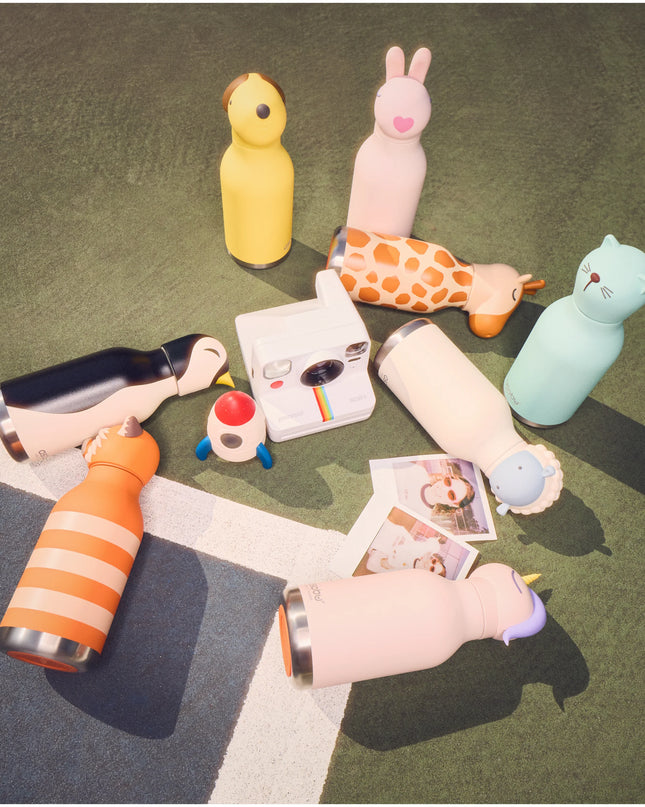 Animal Water Bottles posed on a tennis court with a polaroid camera