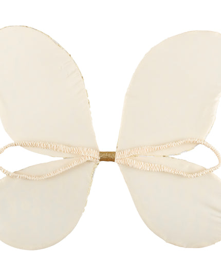 Inside of fairy wings