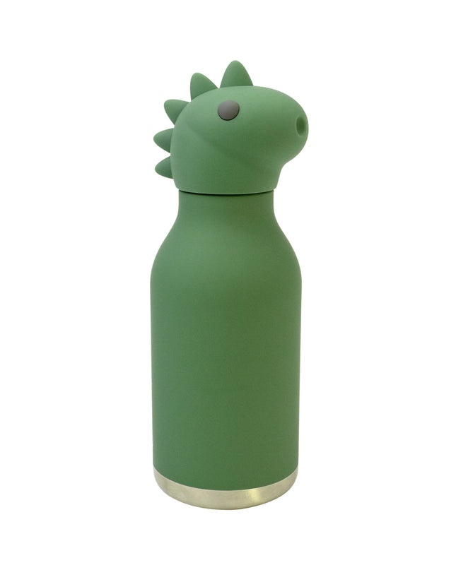 Dinosaur Stainless Steel Water Bottle