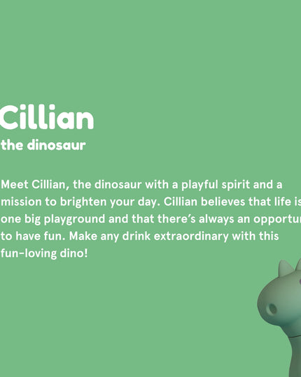 Description about dinosaur water bottle