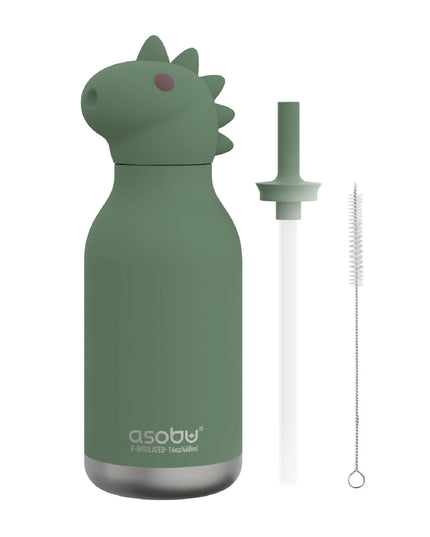 Dinosaur water bottle and accessories