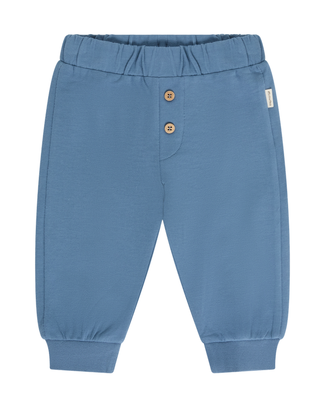 A pair of blue baby jogger pants featuring an elastic waistband, two decorative brown buttons on the front, and ribbed ankle cuffs