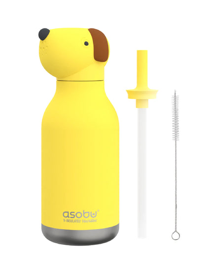 dog water bottle and accessories