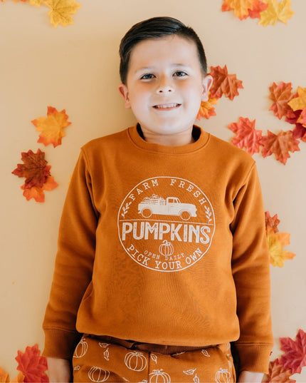 Child wearing Burnt orange sweatshirt with pumpkin truck graphic