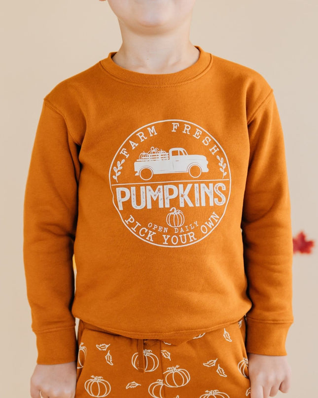 child wearing Burnt orange sweatshirt with pumpkin truck graphic