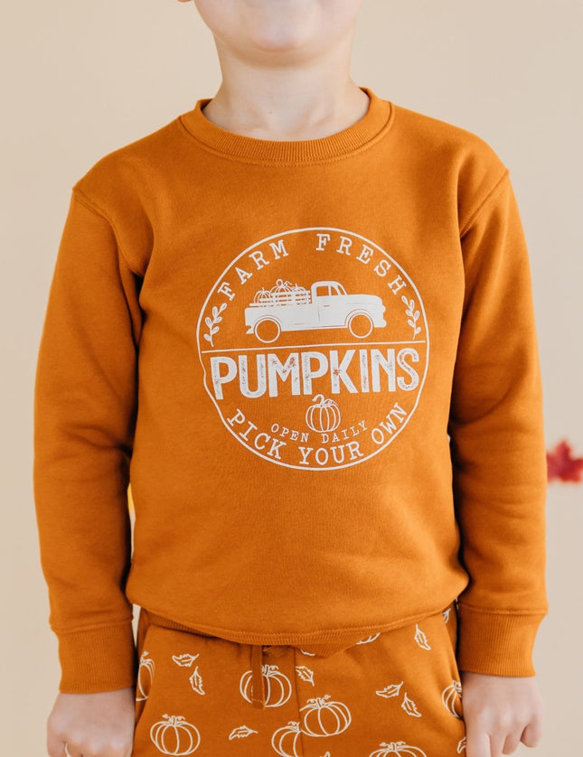 child wearing Burnt orange sweatshirt with pumpkin truck graphic