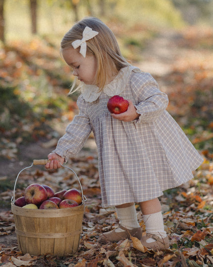 A little girl wearing a long sleeve dress with blue checkered pattern and white collar 