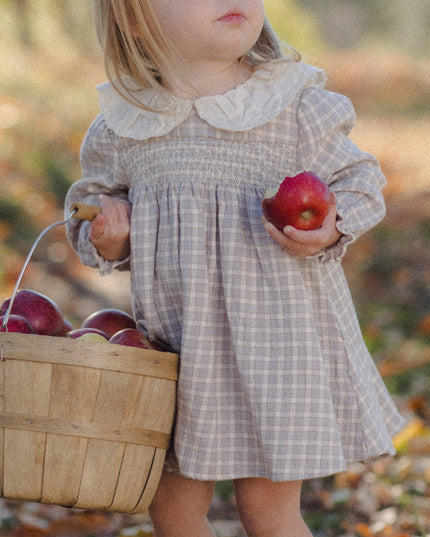 A little girl wearing a long sleeve dress with blue checkered pattern and white collar 