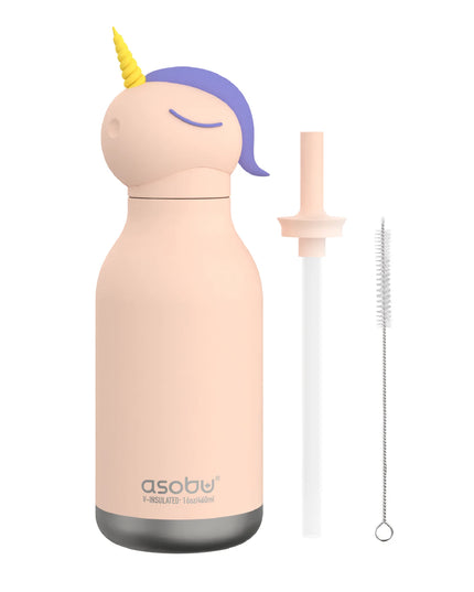 Unicorn water bottle and accessories